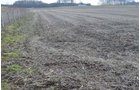 Property photo 10 - 98+/- Acres Offered in 6 Tracts or Combinations, Noble County, Indiana Farm